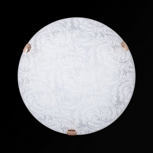 Настенно-потолочный светильник Sneha Перья мат (300) НПБ 01-2х60-001 Настенно-потолочный светильник Sneha Перья мат (300) НПБ 01-2х60-001