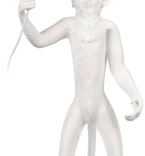 Интерьерная настольная лампа Loft IT Monkey 10314T/B