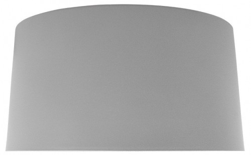 Потолочный светодиодный светильник Loft IT Duo 10360M Grey