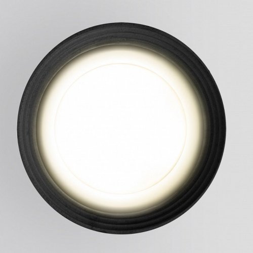 Накладной светильник Elektrostandard Light 35128/H