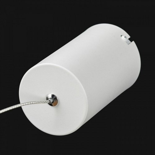 Подвесной светильник Lussole Hardin LSP-7426