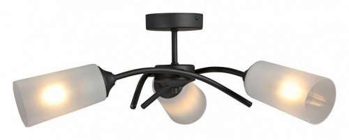 Потолочная люстра Vitaluce V2850-1/3PL