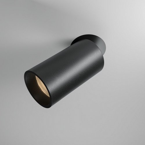 Точечный светильник Maytoni Focus Led DL125-L12-4K-TRS-B Точечный светильник Maytoni Focus Led DL125-L12-4K-TRS-B