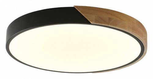 Потолочный светильник Zortes Alberro ZRS.01287.36