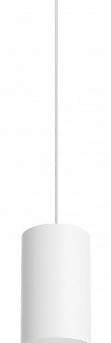 Подвесной светильник Lightstar Rullo RP43631
