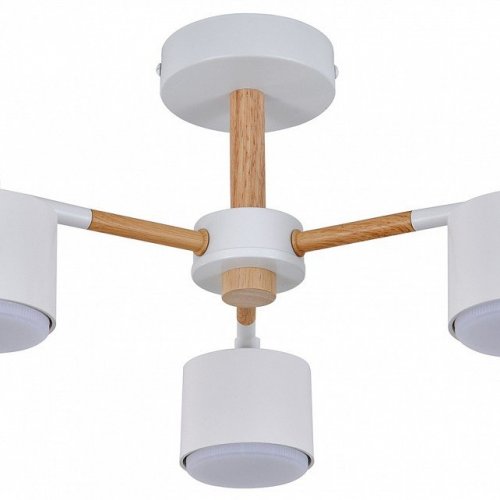 Люстра на штанге Escada  ES0000022L