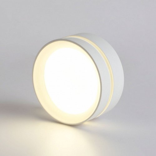 Накладной светильник Ambrella TN TN5391