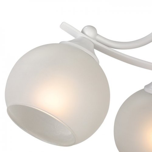 Потолочная люстра V2564-0/4PL Потолочная люстра V2564-0/4PL