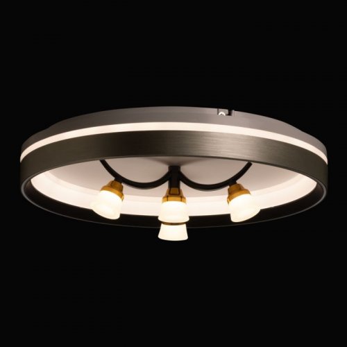 Потолочный светильник Норден 660014901 Потолочный светильник Норден 660014901