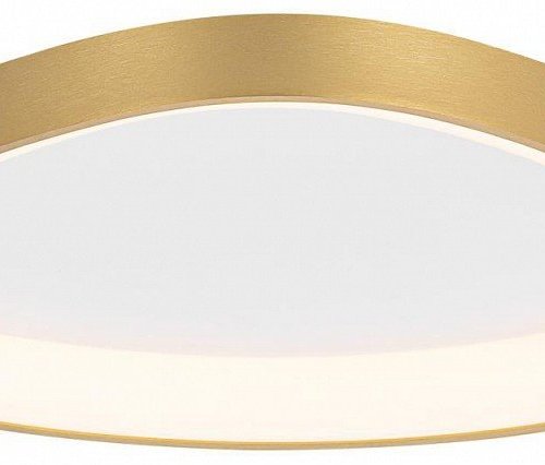 Накладной светильник Citilux GENKA SMART CL756A142