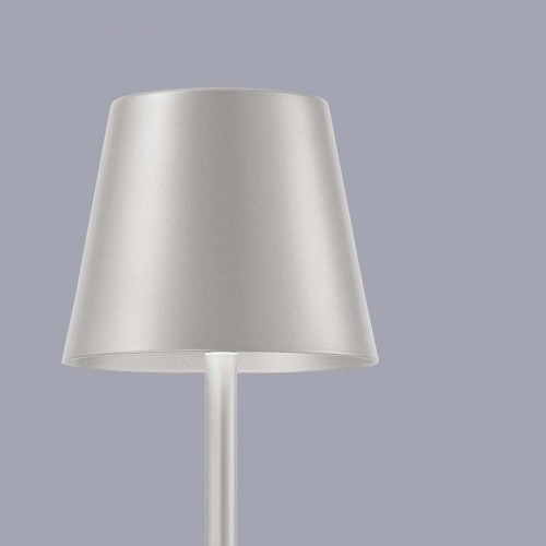 Настольная лампа F-Promo Pyari 4617-1T Настольная лампа F-Promo Pyari 4617-1T