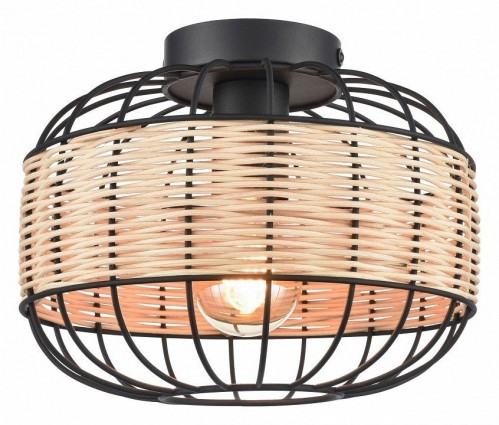 Потолочный светильник Velante 563-717-01