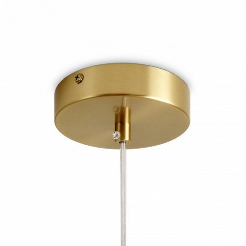 Подвесной светильник Freya Albero FR5589PL-01T