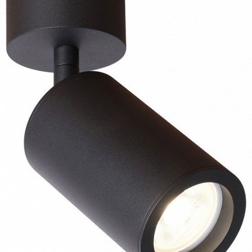 Спот Favourite Angularis 2805-1U Спот Favourite Angularis 2805-1U