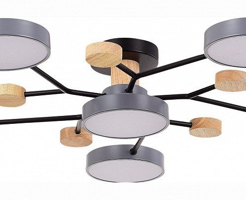 Потолочная люстра EVOLUCE Faema SLE6006-702-06 Потолочная люстра EVOLUCE Faema SLE6006-702-06