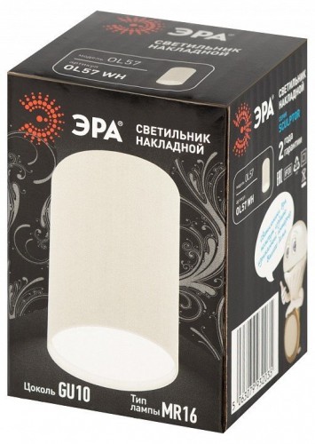 Накладной светильник Эра  OL57 WH