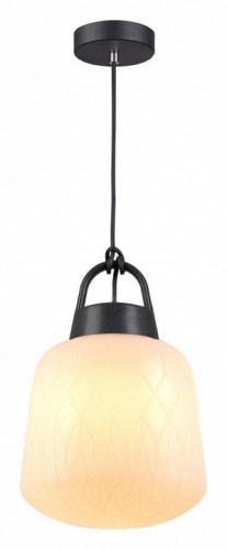 Уличный подвесной светильник Novotech Conte 370601