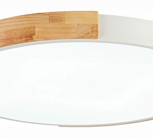 Потолочный светильник Evoluce Delia SLE201352-01