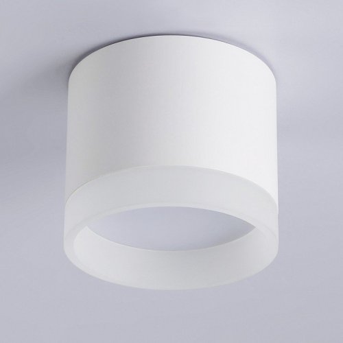 Накладной светильник Ambrella Light TN TN5365