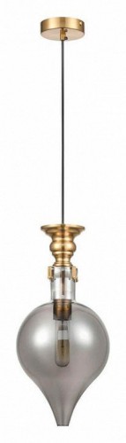 Подвесной светильник Vele Luce Nova VL5494P31