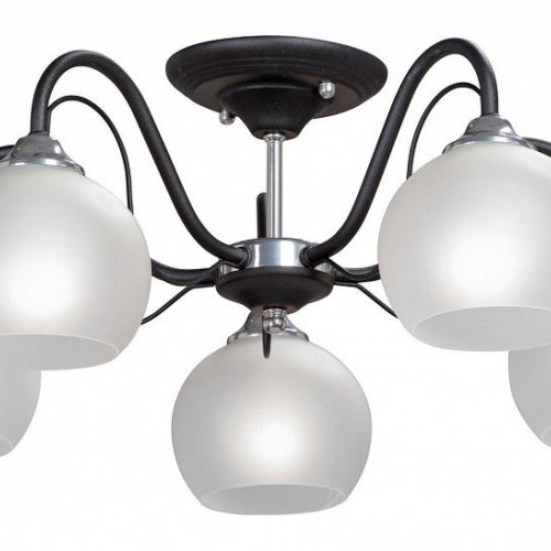 Потолочная люстра Vitaluce V3948-1/5PL