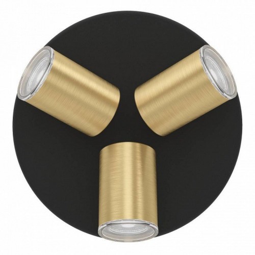 Спот Eglo Consuma 1 300586