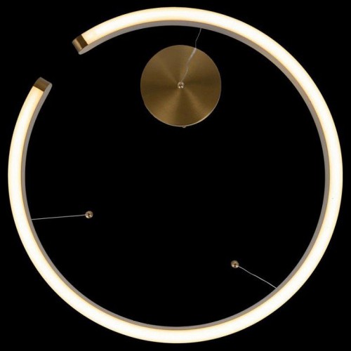 Подвесной светодиодный светильник Loft IT Ring 10013L