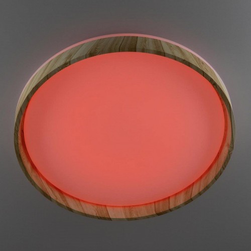 Накладной светильник Citilux ENZO CL753452G Накладной светильник Citilux ENZO CL753452G