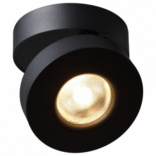 Светодиодный спот Arte Lamp A2511PL-1BK