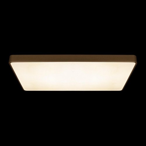 Потолочный светильник Loft IT Flims 10228/E