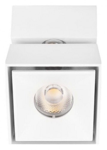 Спот Loft IT Focus 10323/B White