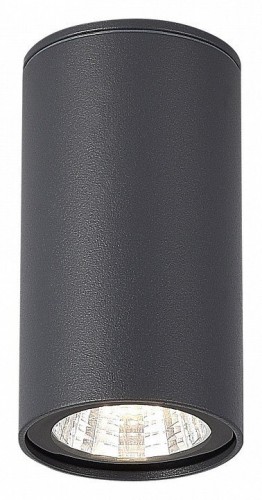 Потолочный светильник уличный ST Luce Tubo SL9514.702.01