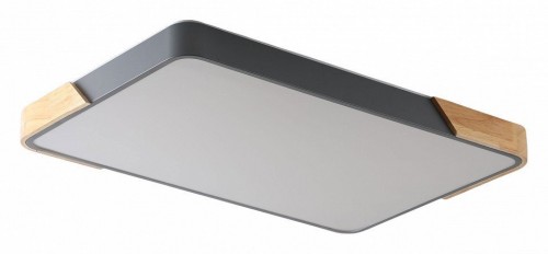 Потолочный светильник Zortes Alberro ZRS.01277.60