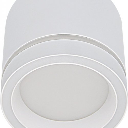 Потолочный светильник Reluce 53003-9.5-001LD GX53 WT