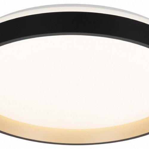 Накладной светильник Citilux ENZO CL753451G