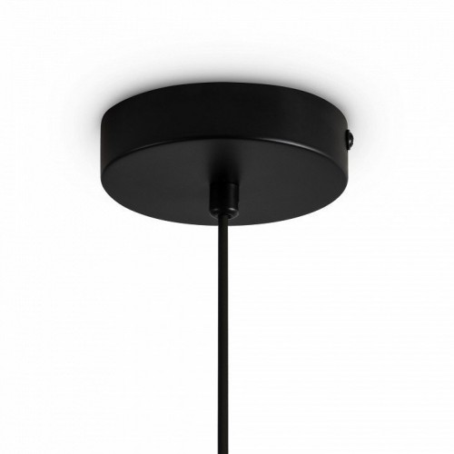 Подвесной светильник Freya Irisa FR5593PL-01B