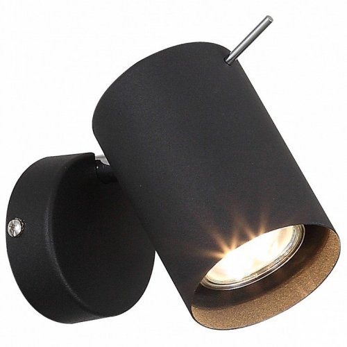 Светодиодный спот ST Luce Fanale SL597.401.01 Светодиодный спот ST Luce Fanale SL597.401.01