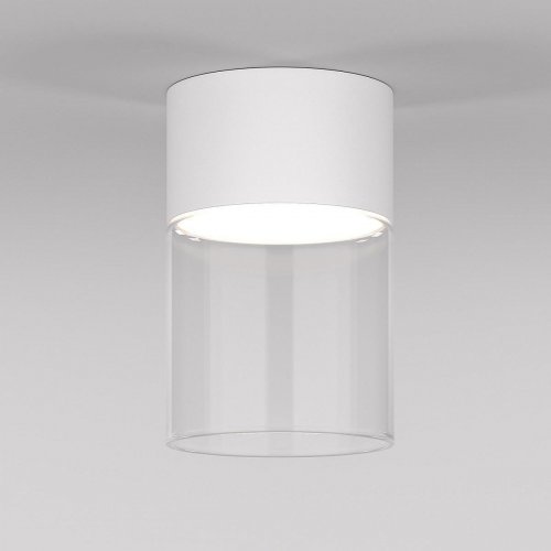 Потолочный светодиодный светильник Elektrostandard Lumen 25047/LED 10W 4000К белый/прозрачный a064710