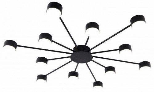 Потолочная люстра Leona 3184-312