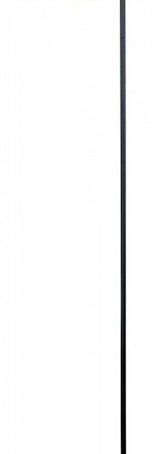 Торшер Arte Lamp David A7033PN-1BK