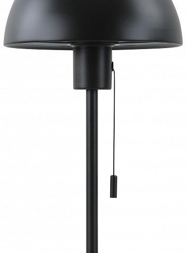 Настольная лампа декоративная Moderli Aspen V11320-1T