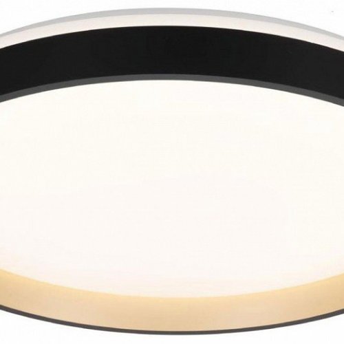 Накладной светильник Citilux ENZO CL753511G Накладной светильник Citilux ENZO CL753511G