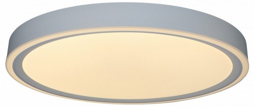 Потолочный светильник Zortes Bella ZRS.1200.07