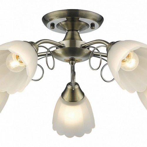 Потолочная люстра Velante 708-507-05