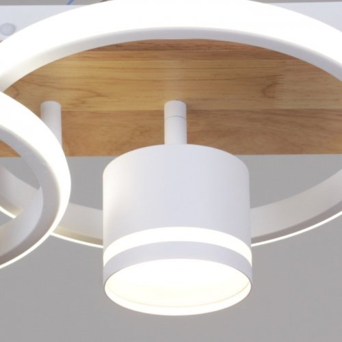 Потолочная люстра  29560-0.3-2+2 WH+WOOD