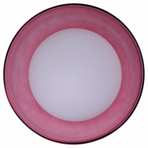 Настенно-потолочный светильник 33 идеи WLL105.17BL-M33DP