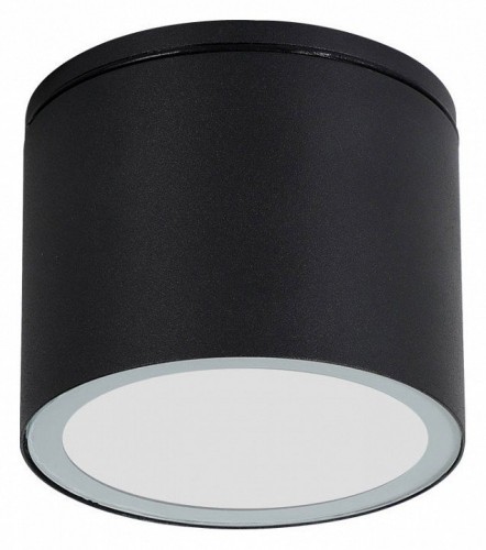 Потолочный светильник уличный Arte Lamp Piautos A1913PF-1BK