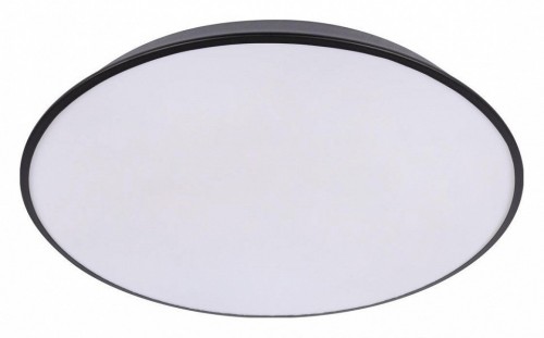 Потолочный светильник Loft IT Brim 10226 Black