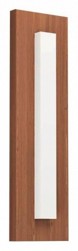 Уличный настенный светодиодный светильник Eglo Bitetto 900679