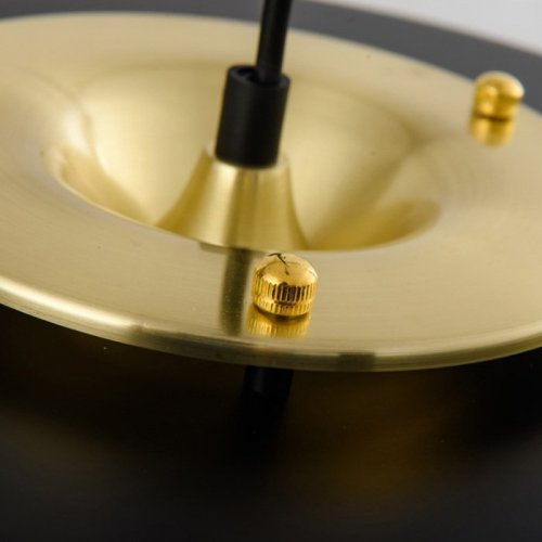 Подвесной светильник DeLight Collection Revolve 9187P black/gold